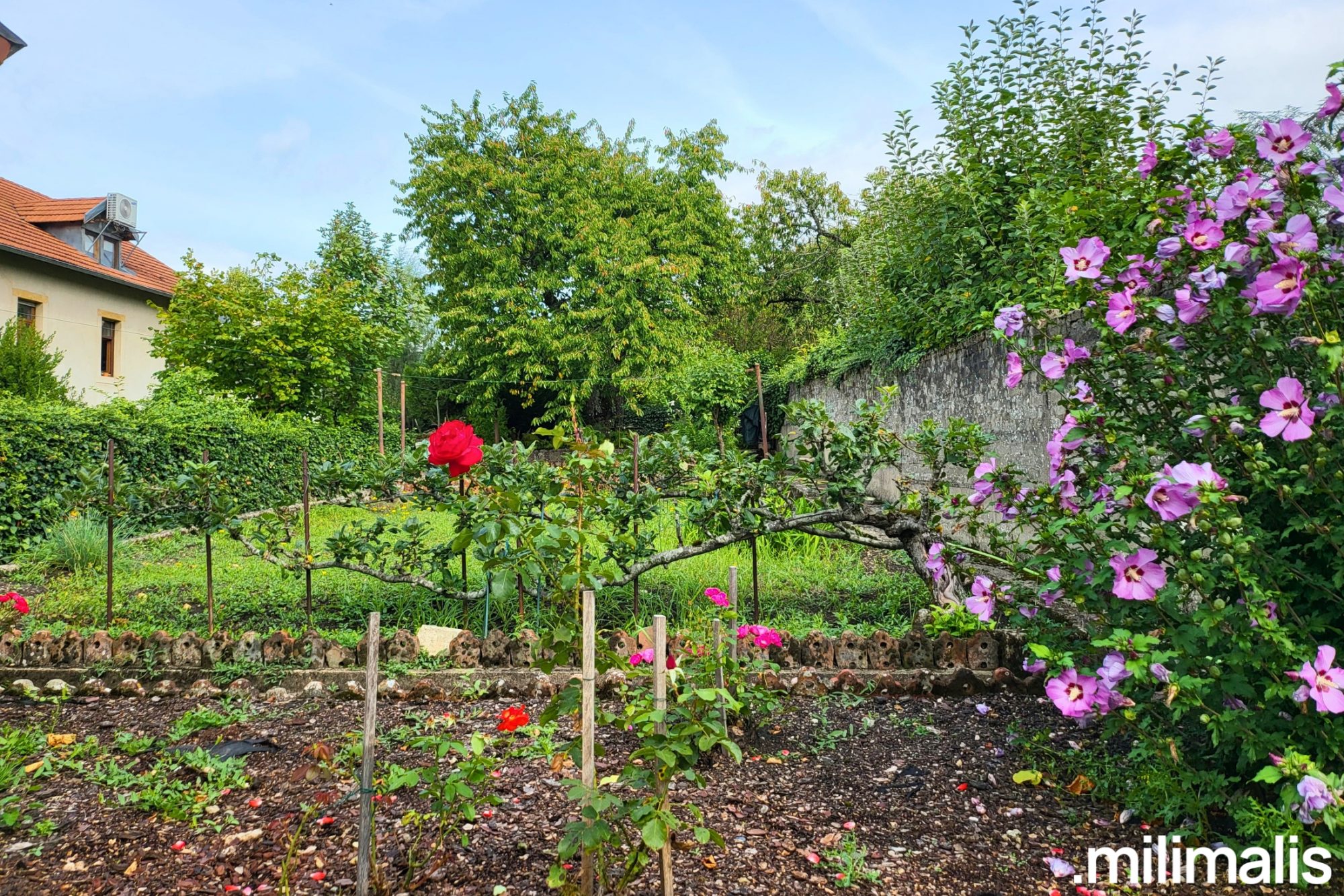 Maison 6 pièces - 119m² - METZ