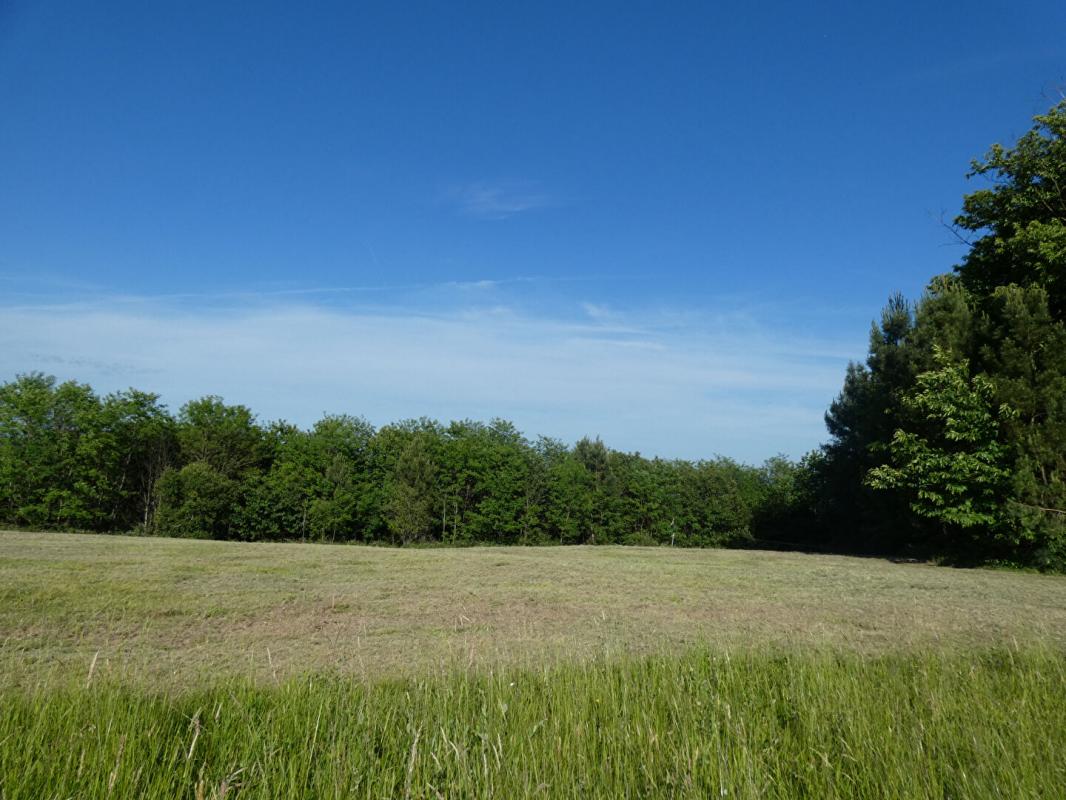 Terrain  - 3 852m² - SARLAT LA CANEDA