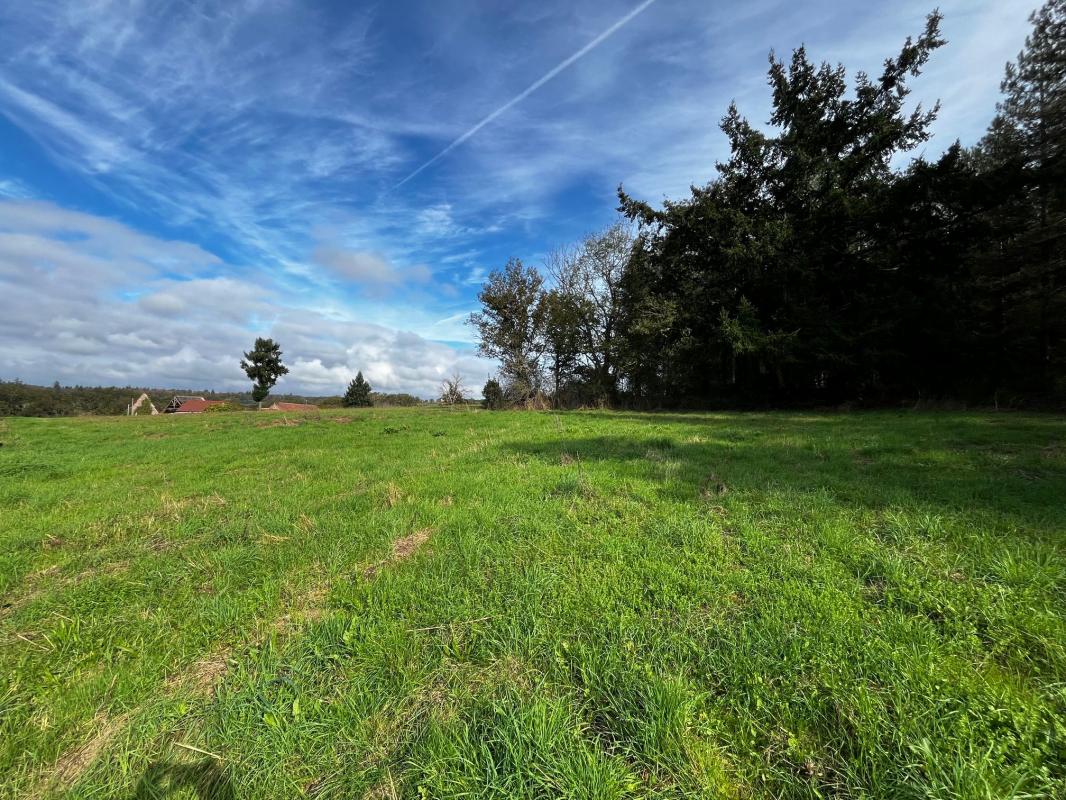 Terrain  - 571m² - VALLON EN SULLY