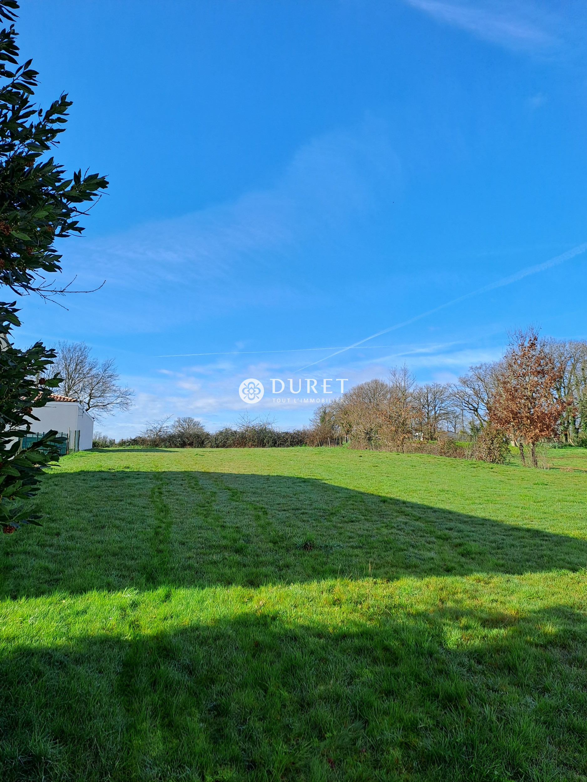 Terrain  - 1 831m² - RIVES DE L YON