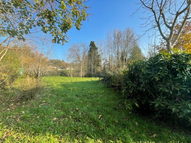 Terrain  - 1 631m² - MONTERREIN