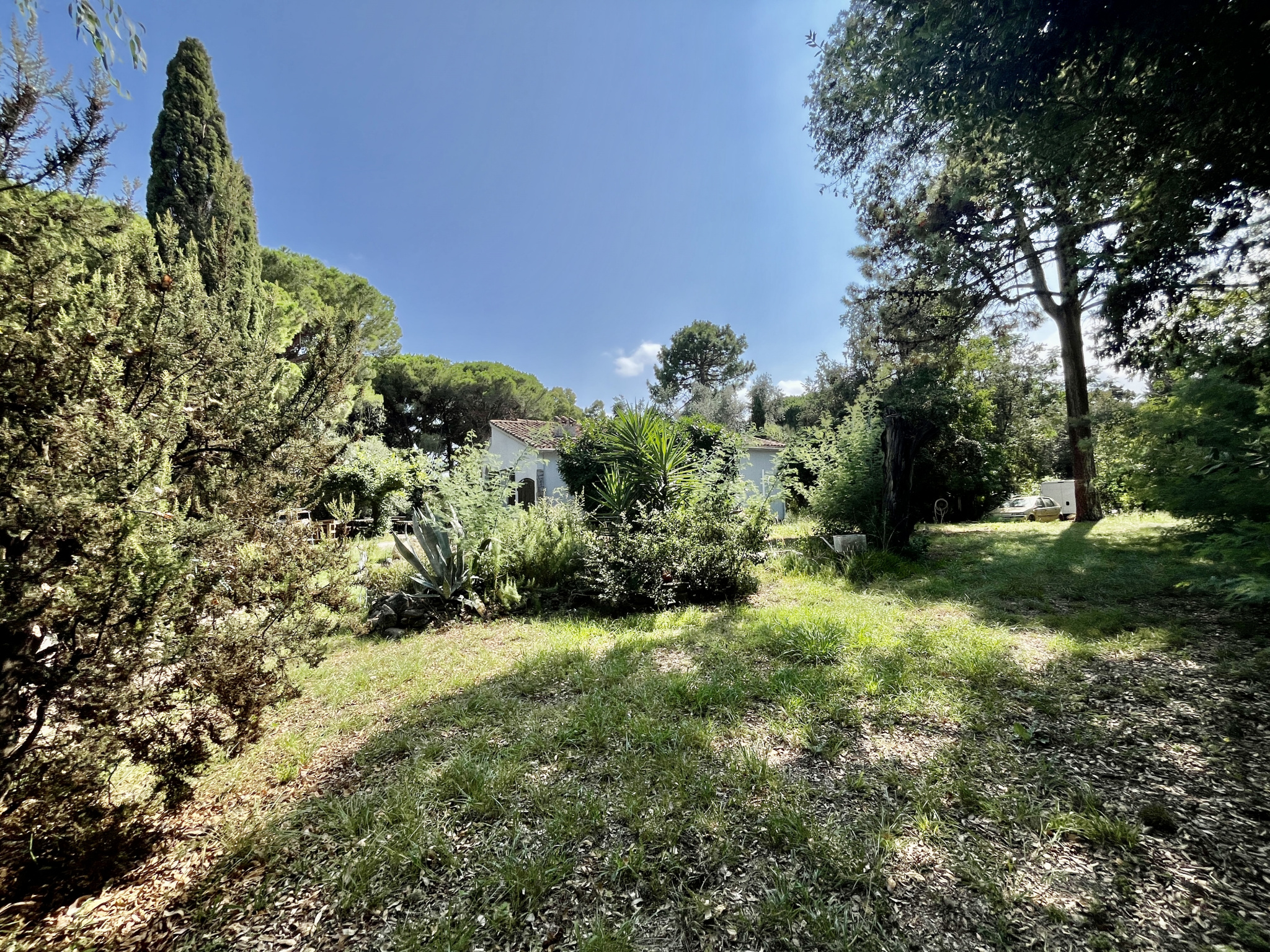 Terrain  - 3 129m² - BIGUGLIA