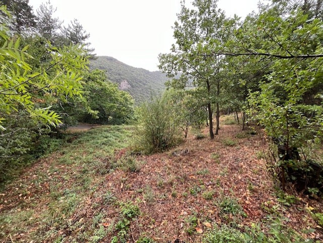 Terrain  - 1 580m² - CITOU