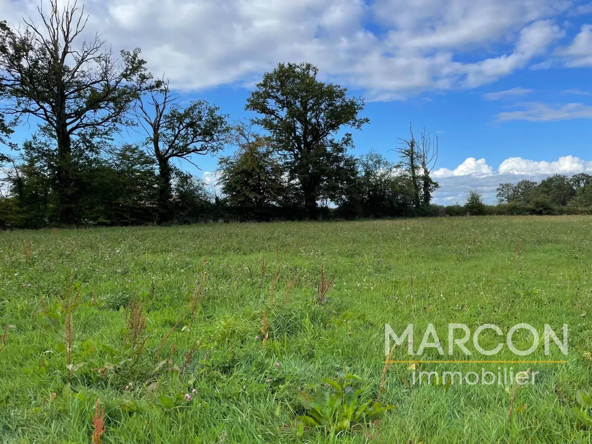 Terrain  - 4 688m² - ARNAC LA POSTE