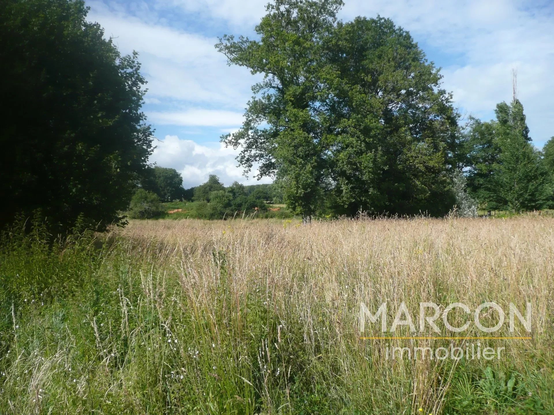 Terrain  - 2 117m² - ST MAURICE LA SOUTERRAINE