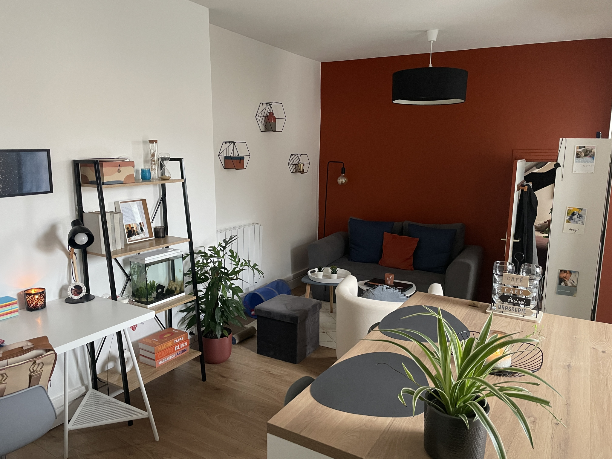 Appartement 1 pièce - 35m² - ANGERS