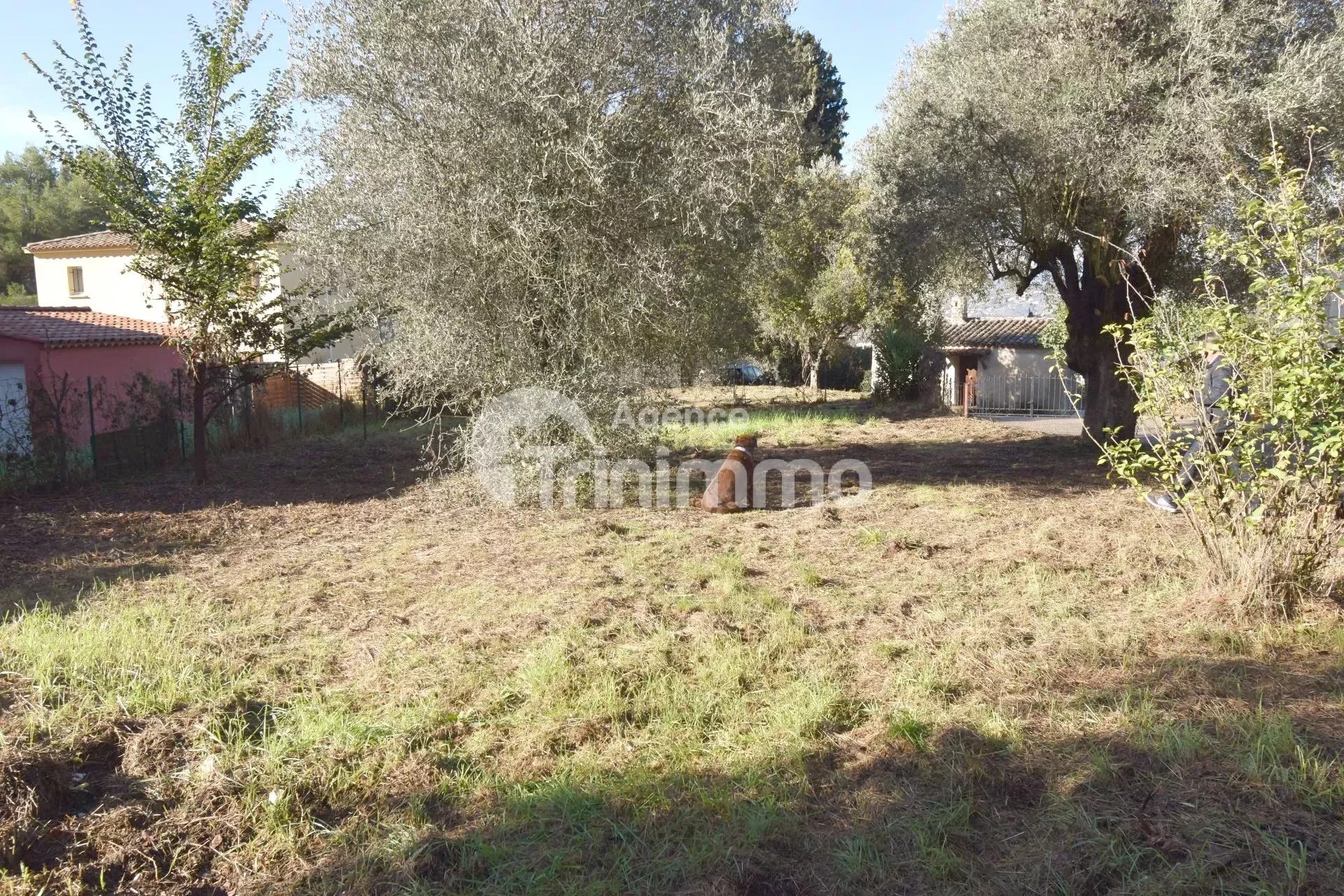 Terrain  - 688m² - LA TRINITE