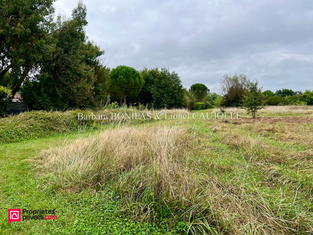 Terrain  - 766m² - ST SULPICE LA POINTE