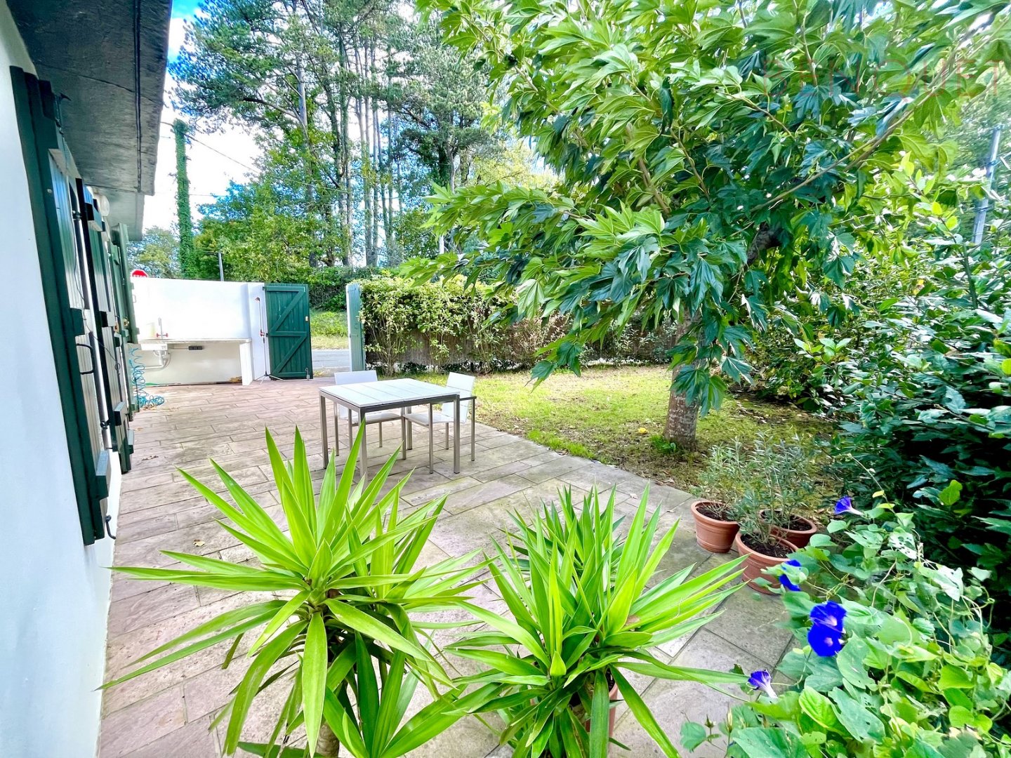 Appartement 3 pièces - 42m² - ST JEAN DE LUZ