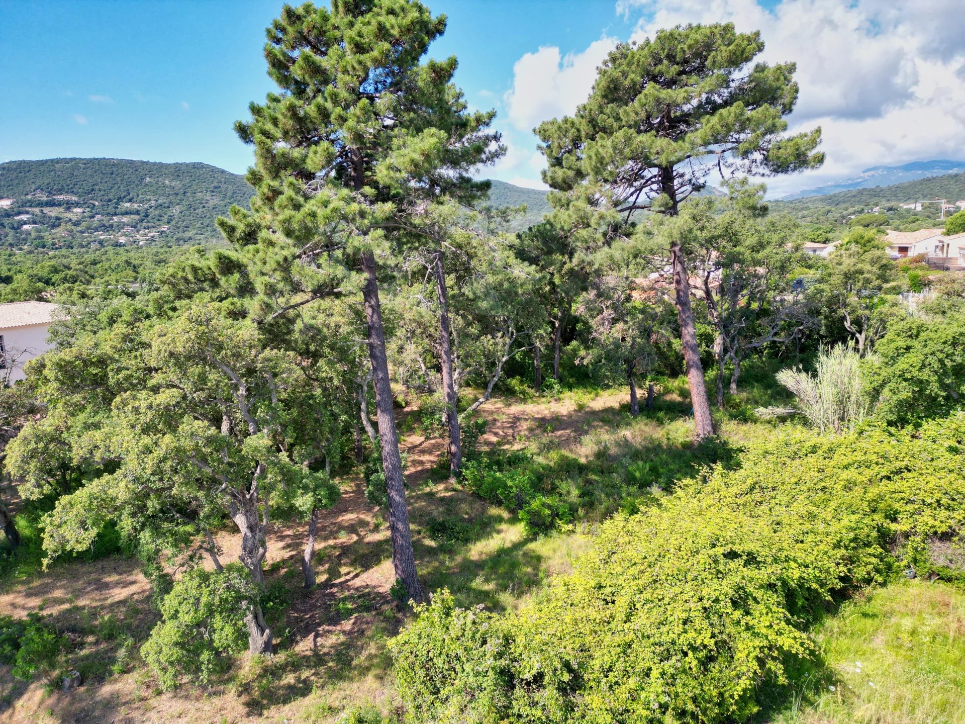 Terrain  - 2 045m² - STE LUCIE DE PORTO VECCHIO