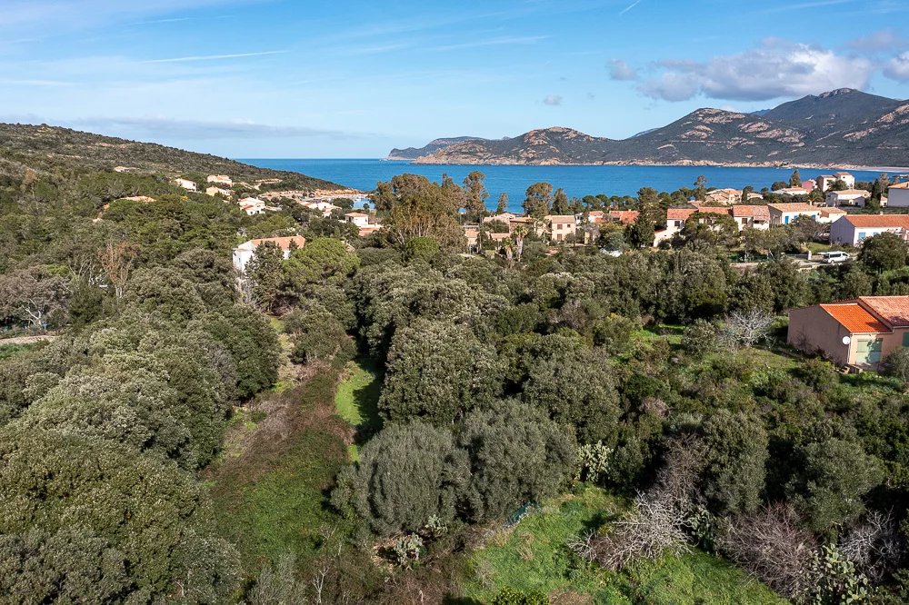 Terrain  - 3 380m² - CALVI