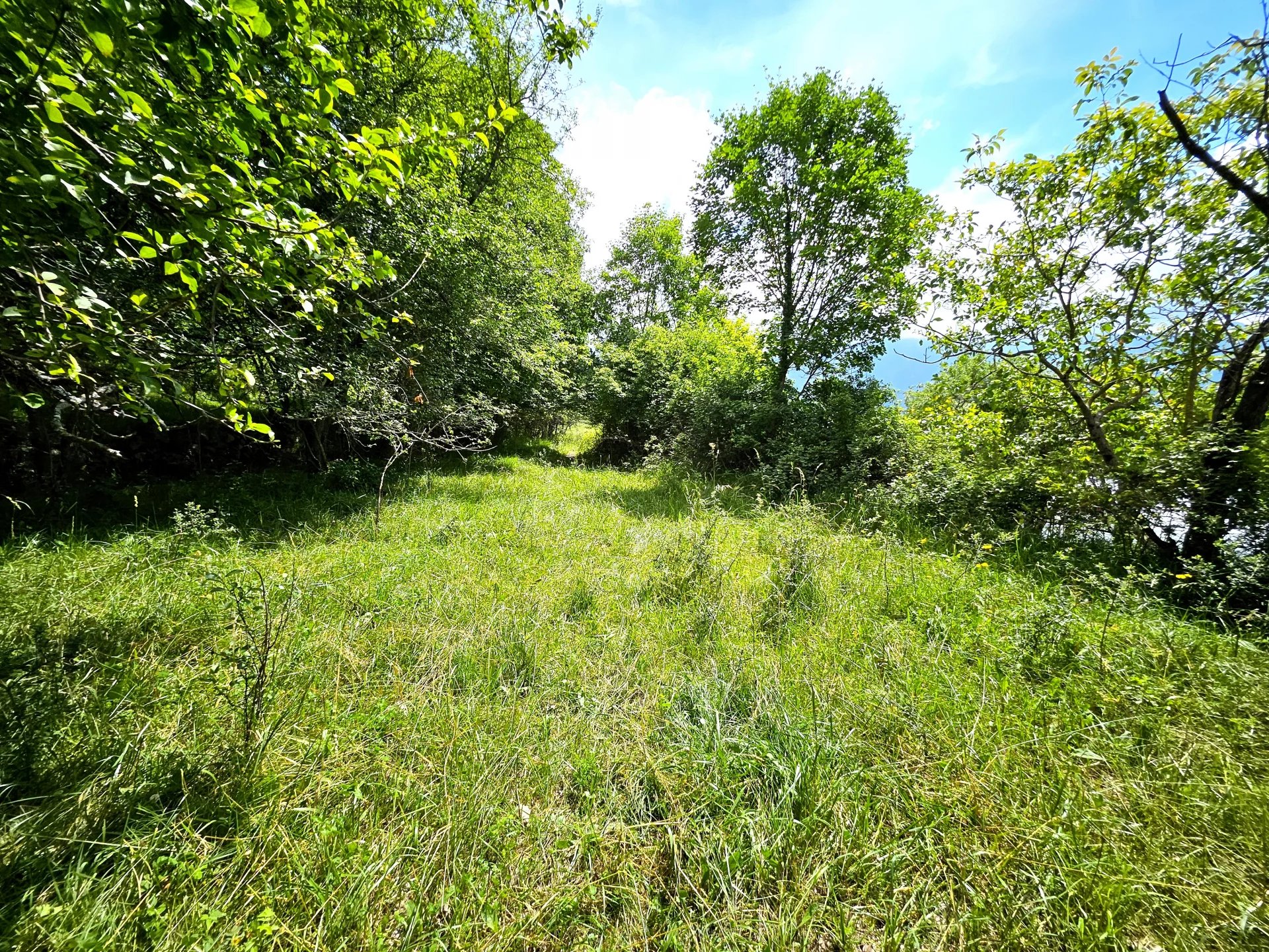 Terrain  - 1 959m² - ROQUEBILLIERE