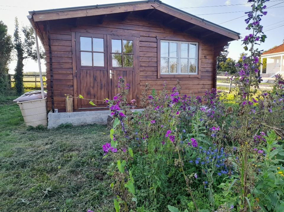 Maison 1 pièce - 17m² - SAVIGNAC LEDRIER