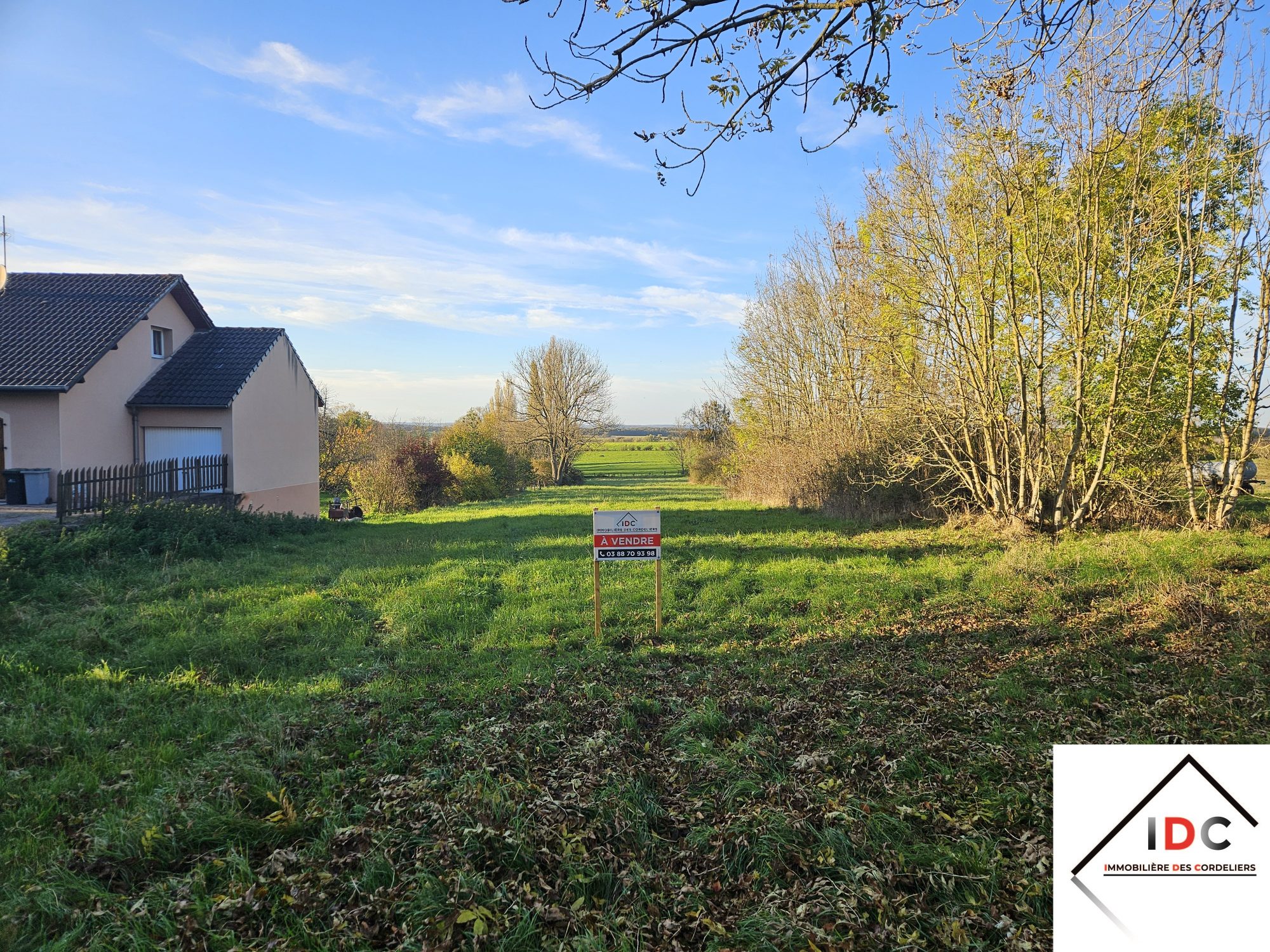 Terrain  - 6 006m² - DIEUZE