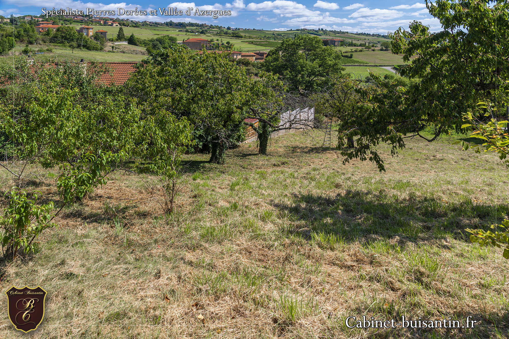 Terrain  - 700m² - ST LAURENT D OINGT