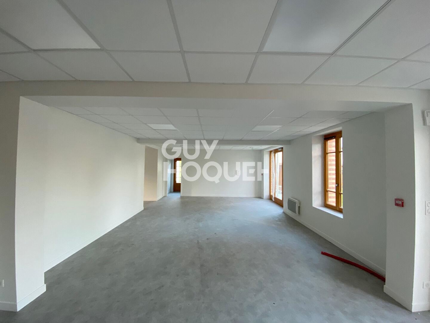 Local Professionnel  - 100m²