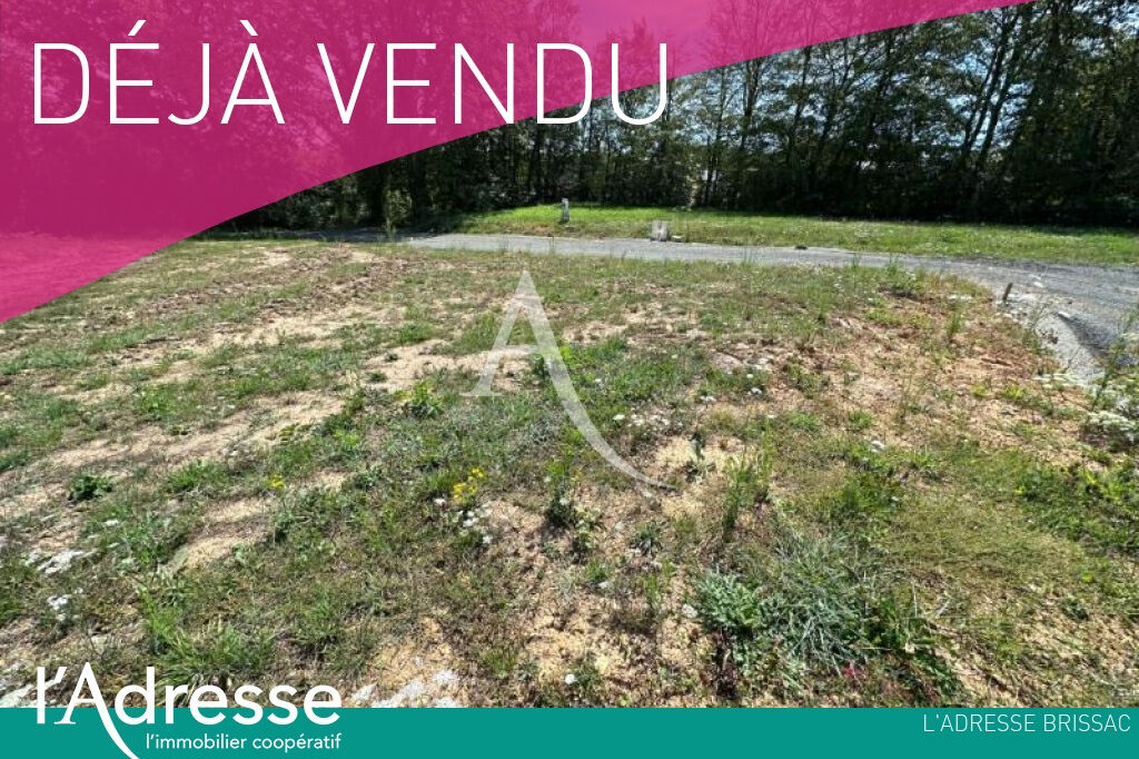 Terrain  - 247m² - BRISSAC QUINCE