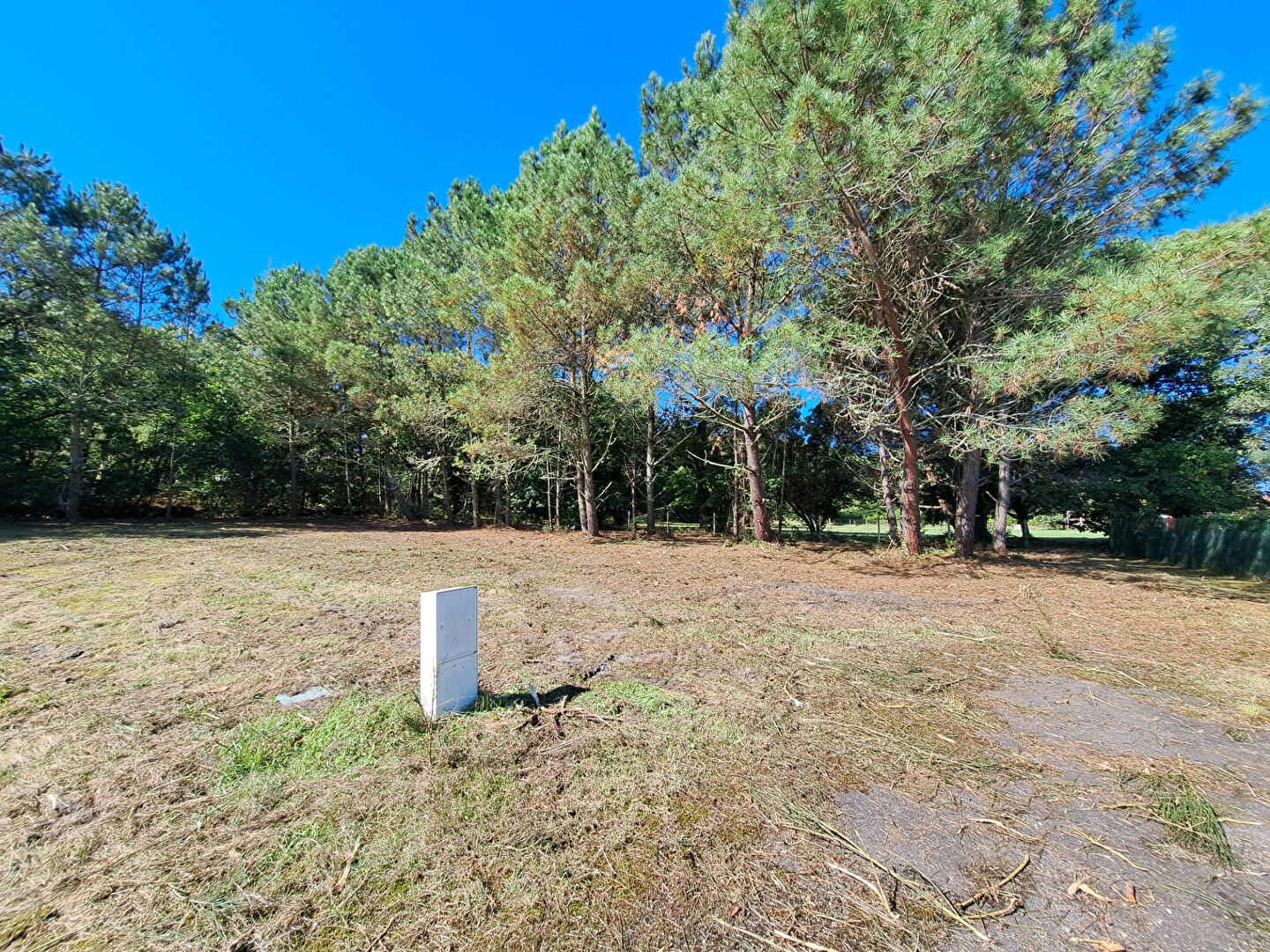 Terrain  - 1 215m²