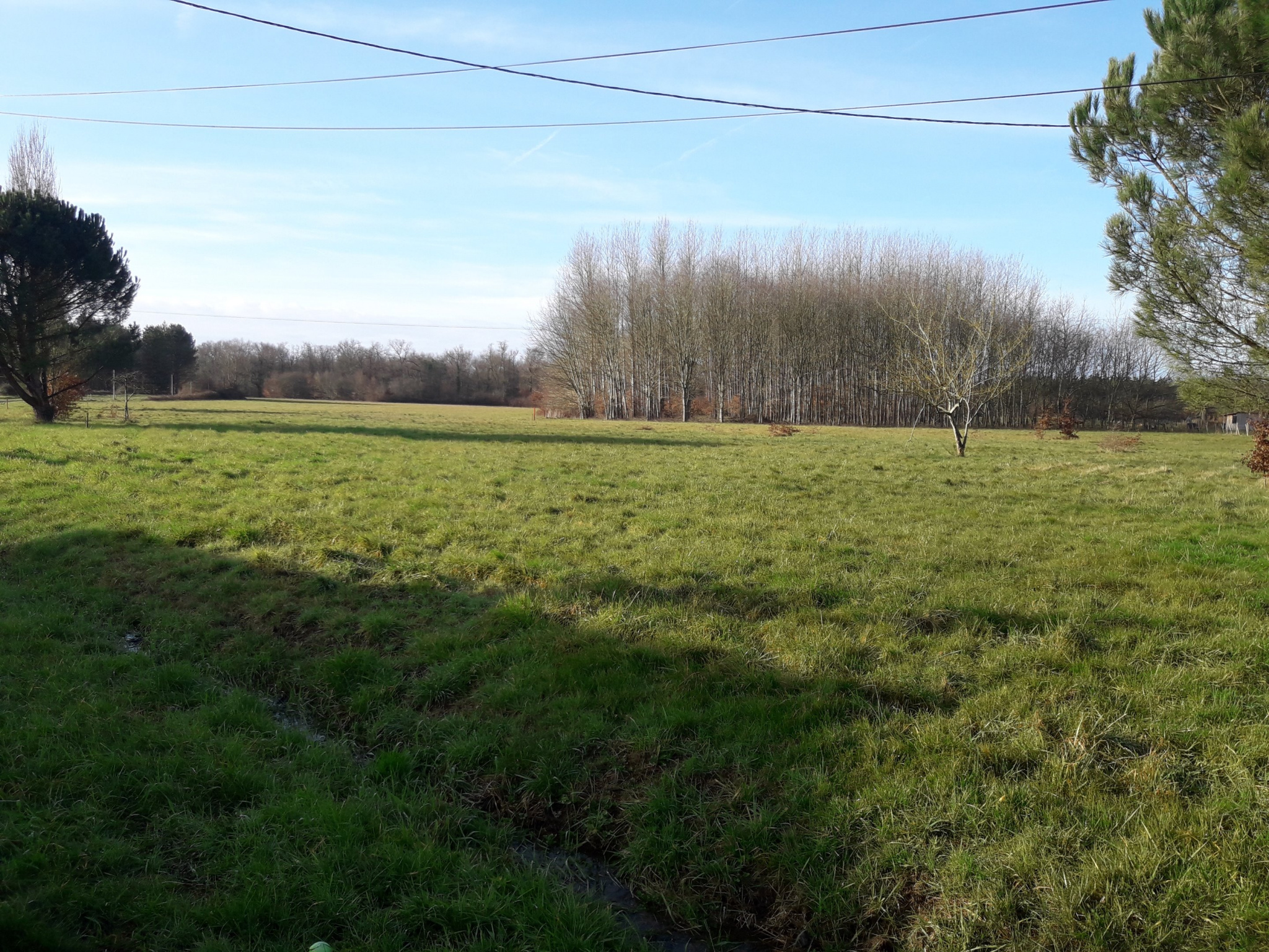 Terrain  - 3 000m² - CHENAUD