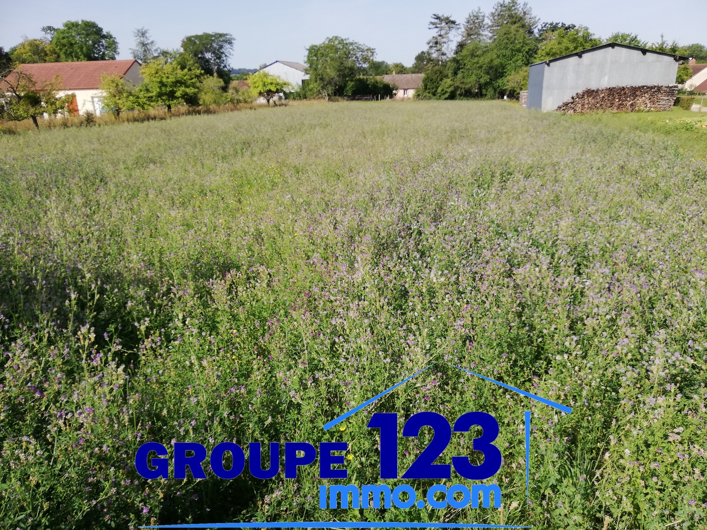 Terrain  - 2 388m² - AILLANT SUR THOLON