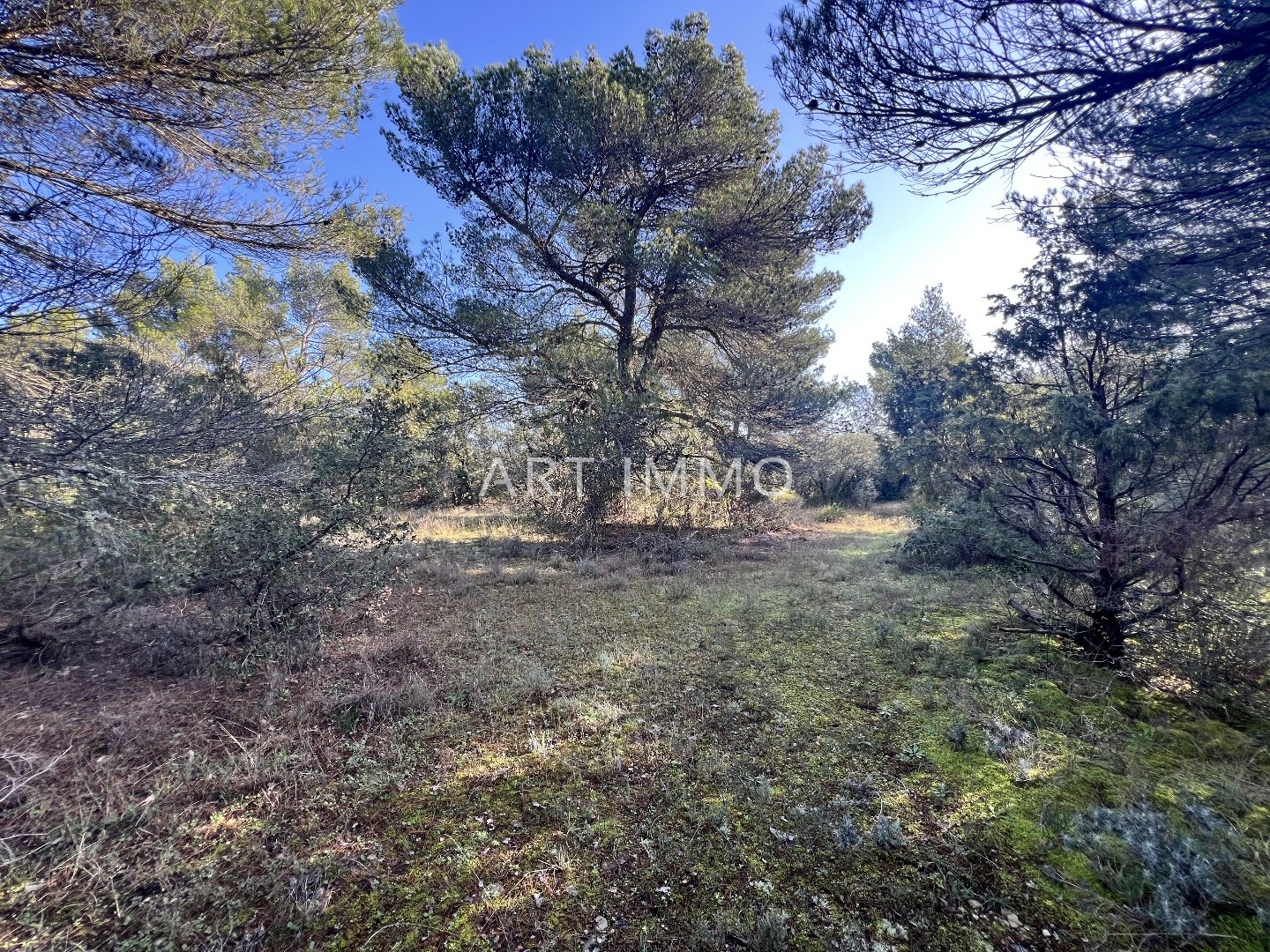 Terrain  - 13 735m² - GORDES