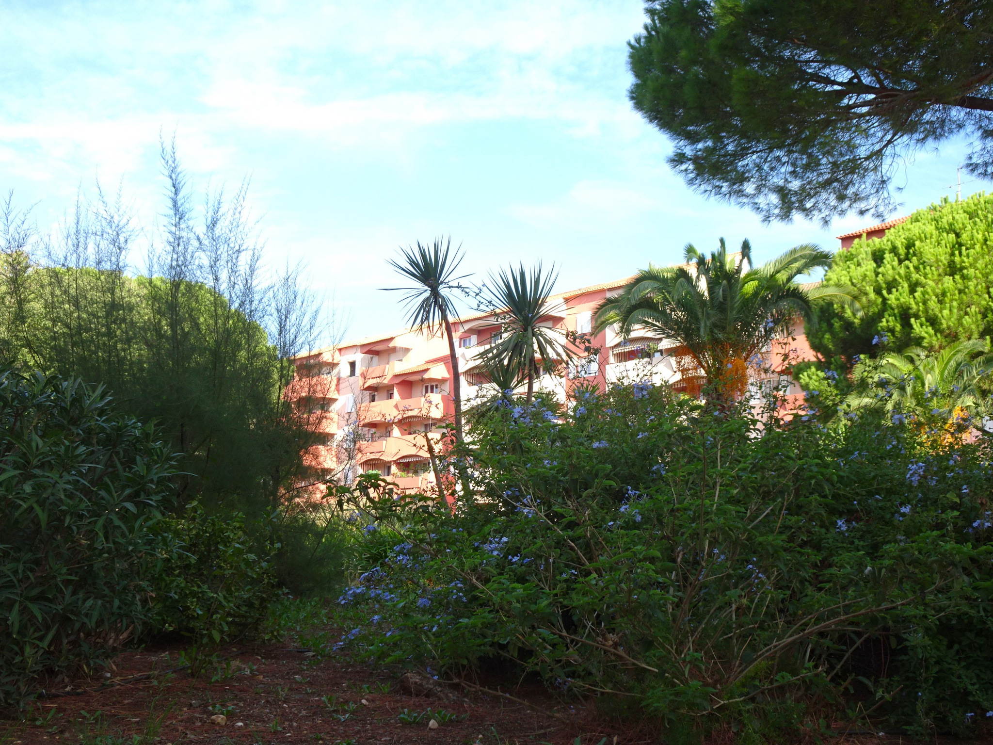 Appartement 1 pièce - 21m² - HYERES