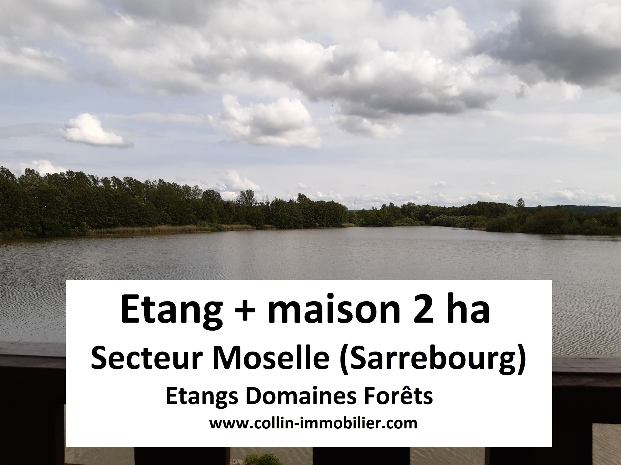 Terrain  - 20 000m² - SARREBOURG