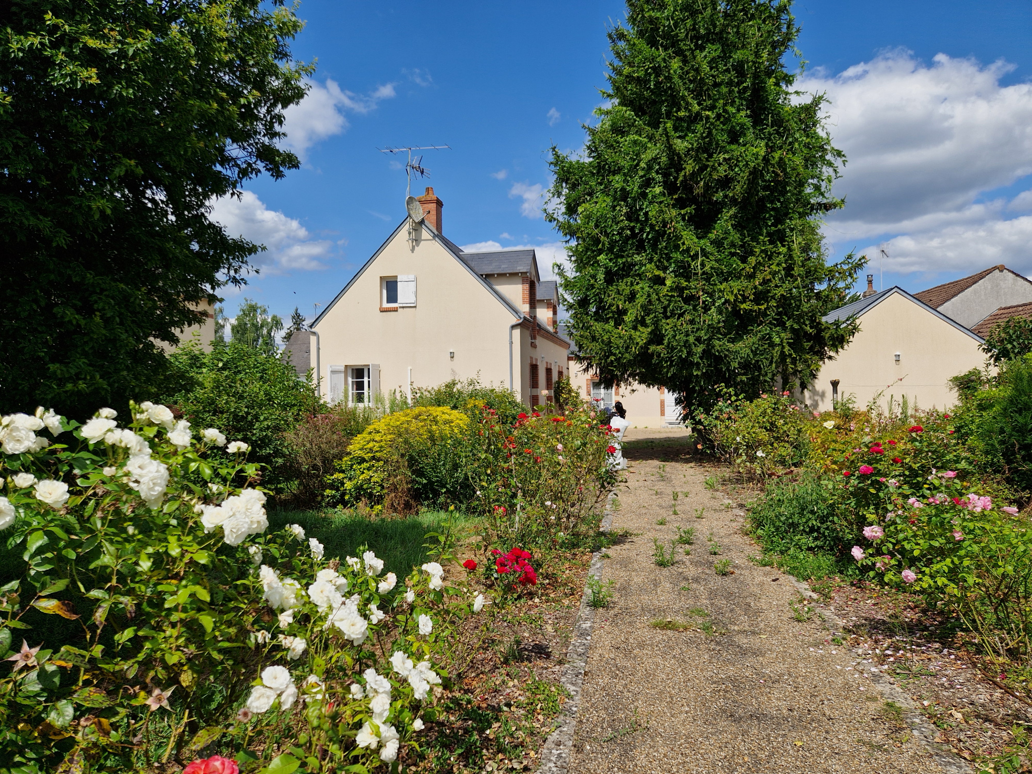 Maison 6 pièces - 180m² - ST JEAN LE BLANC