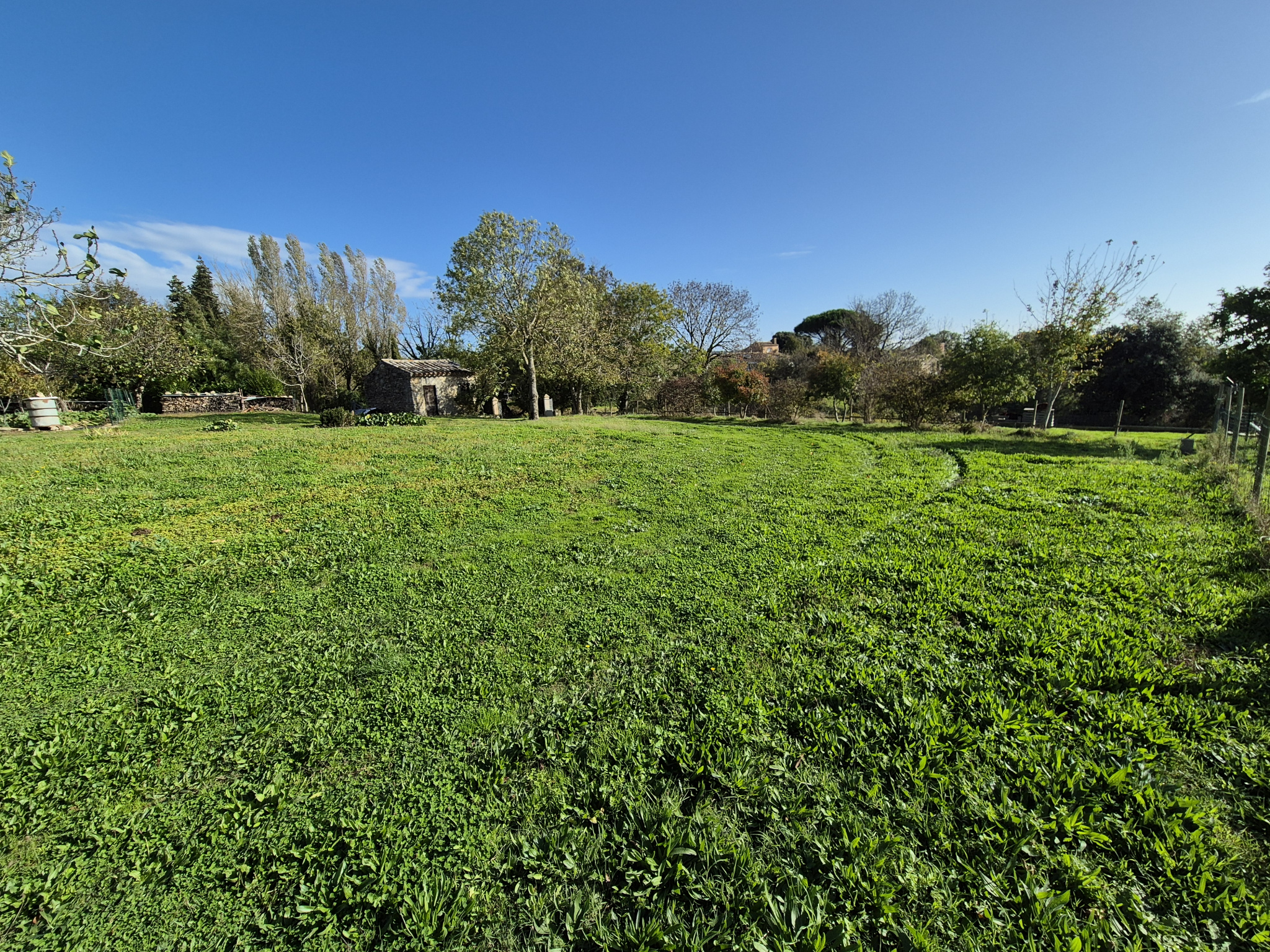 Terrain  - 1 000m² - CASTELNAUDARY