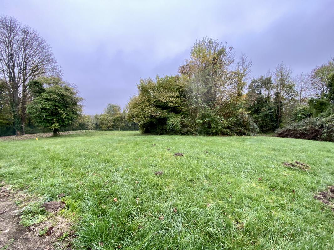 Terrain  - 1 257m² - VILLERS COTTERETS