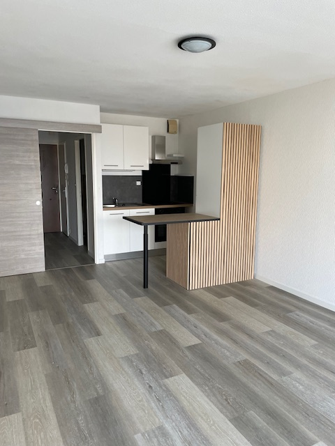 Appartement 1 pièce - 29m² - LES SABLES D OLONNE