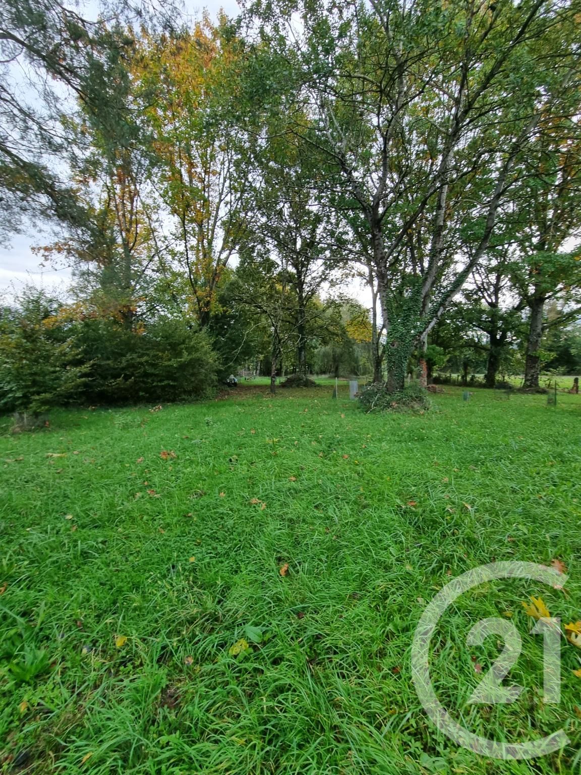 Terrain  - SAVIGNY EN REVERMONT