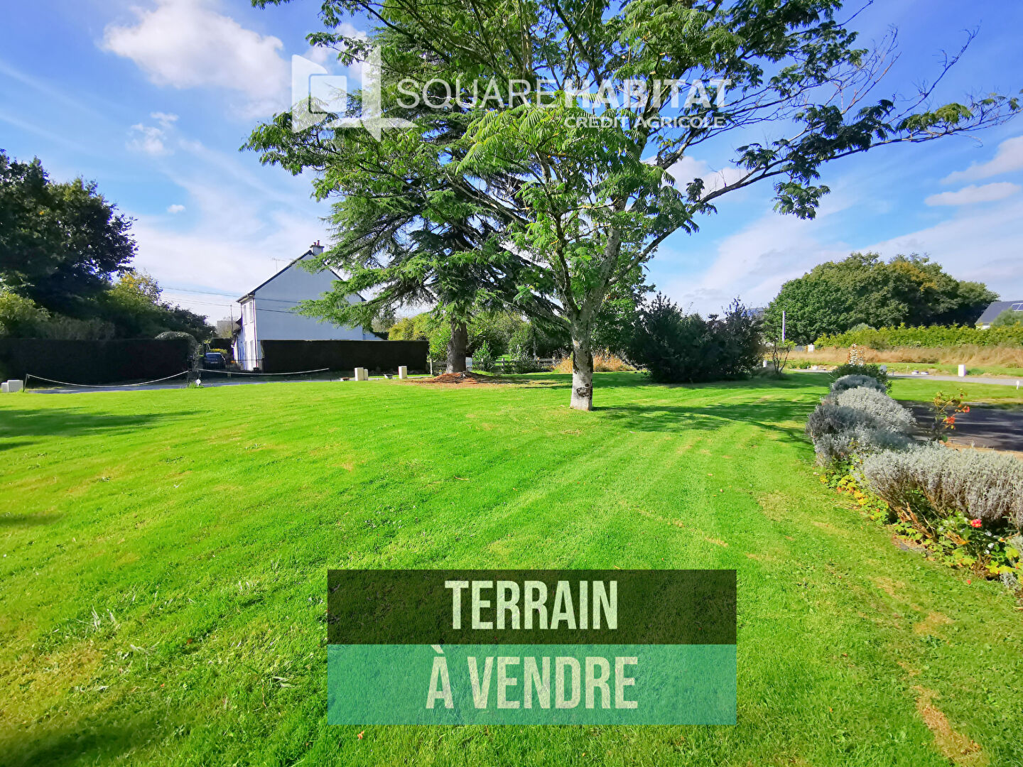 Terrain  - 459m²