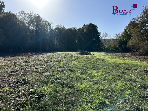 Terrain  - 12 030m² - BRIVE LA GAILLARDE