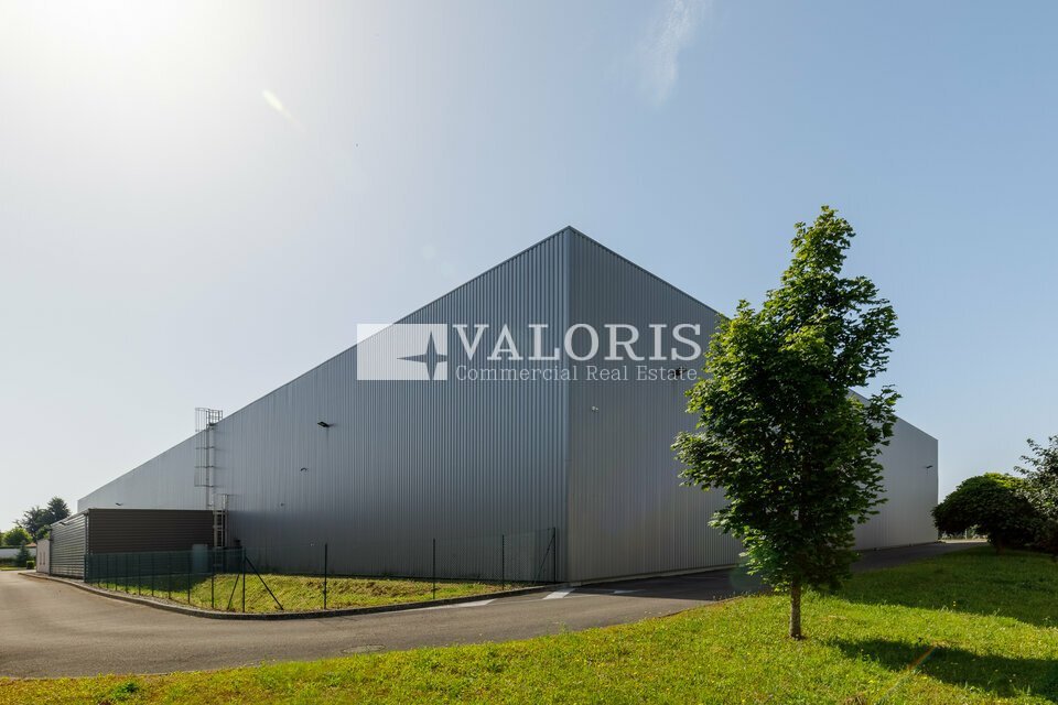 Local industriel  - 9 623m² - MIRIBEL