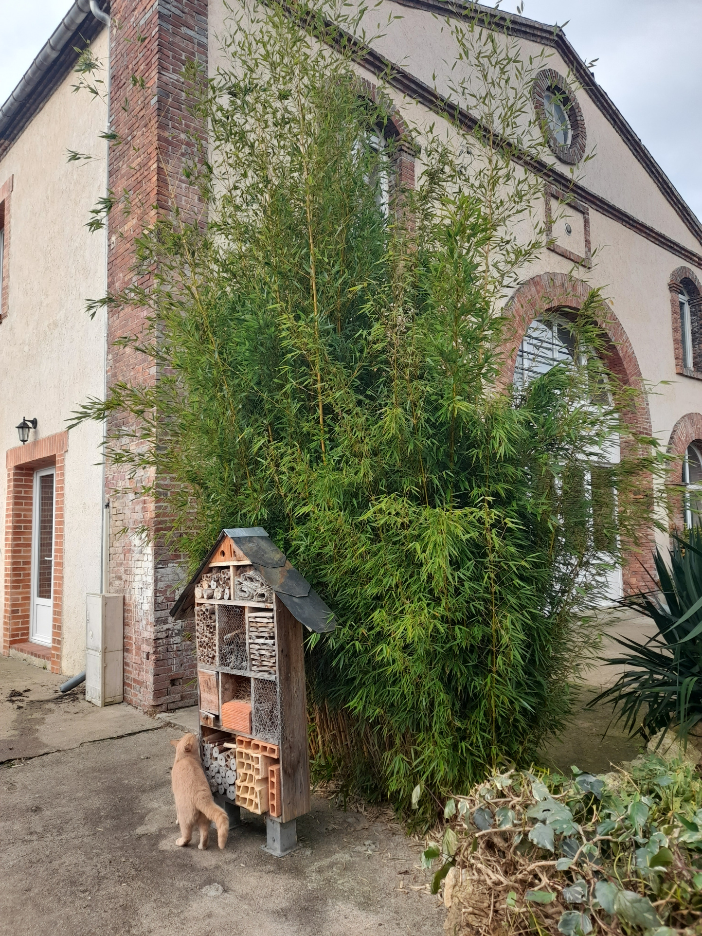 Maison 5 pièces - 152m² - NEUVY SUR LOIRE