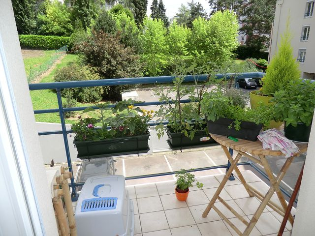 Appartement 2 pièces - 31m² - LIMOGES