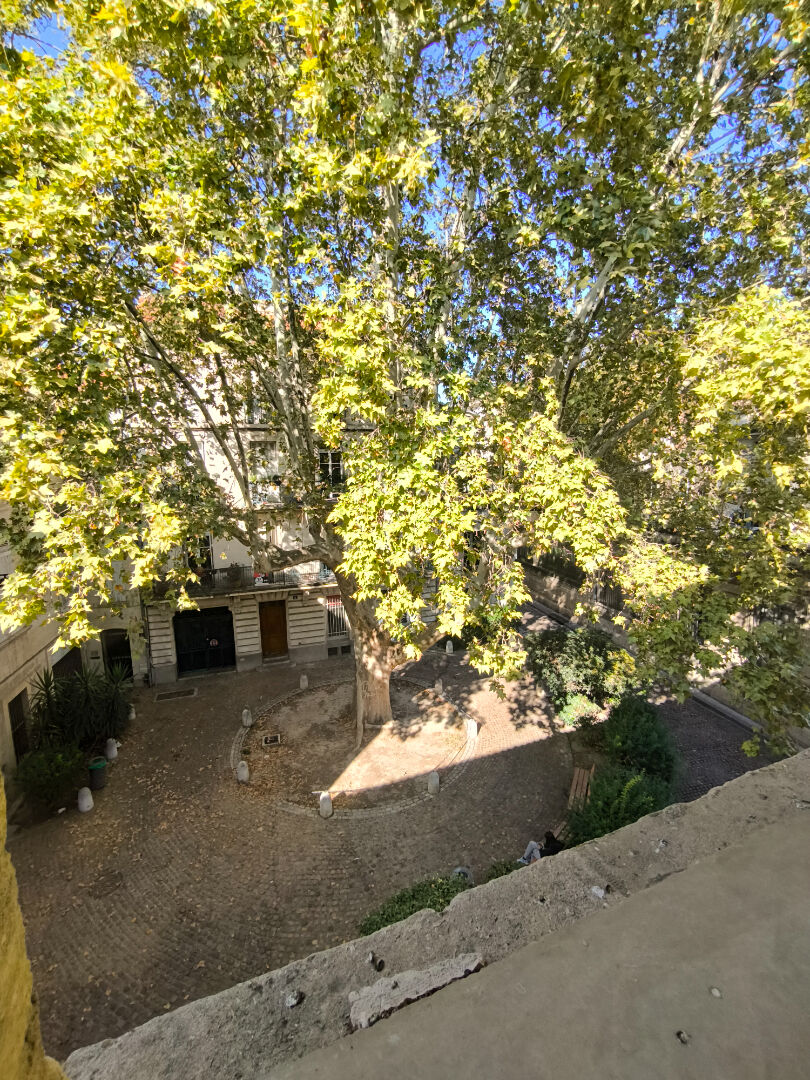 Appartement 2 pièces - 61m² - AVIGNON