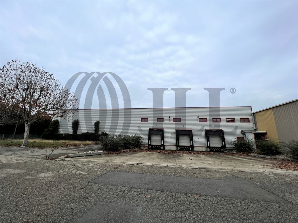 Local industriel  - 8 065m² - ORANGE