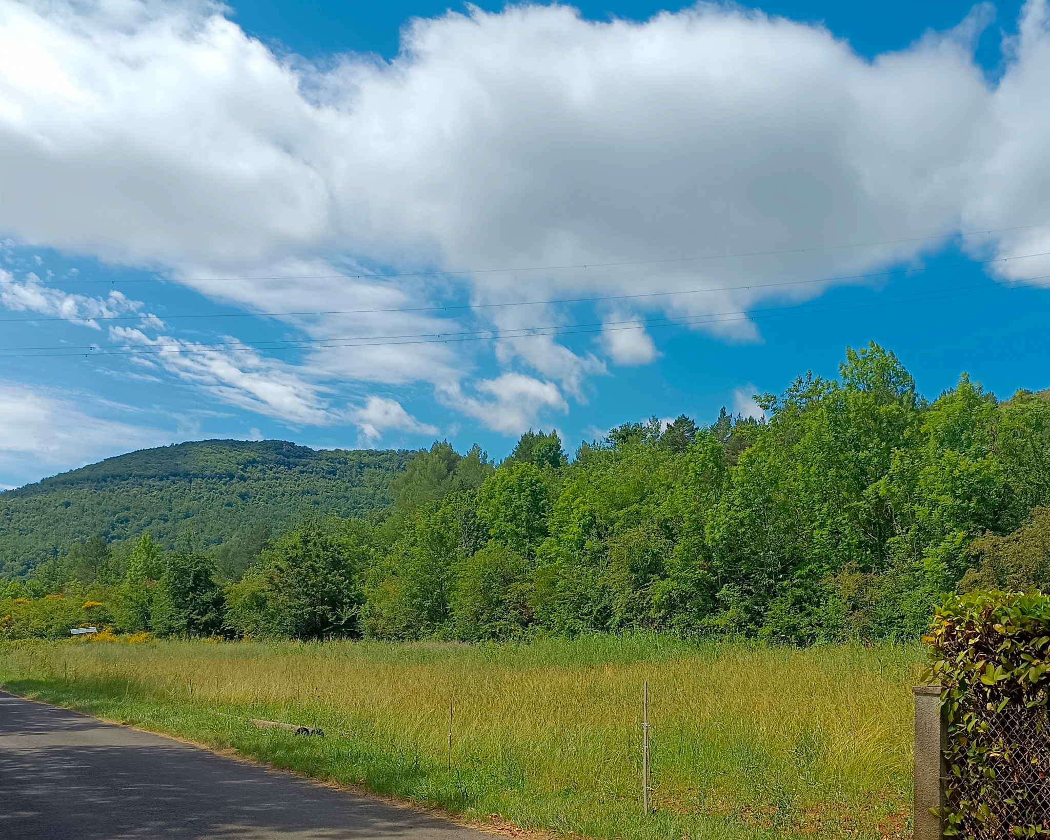 Terrain  - 1 979m² - CAMPAGNE SUR AUDE