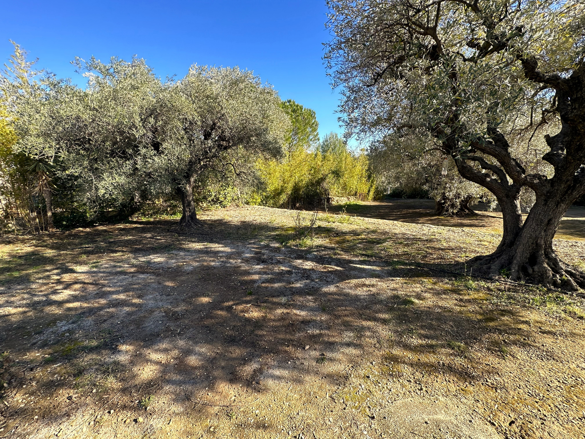 Maison 6 pièces - 150m² - LA CADIERE D AZUR