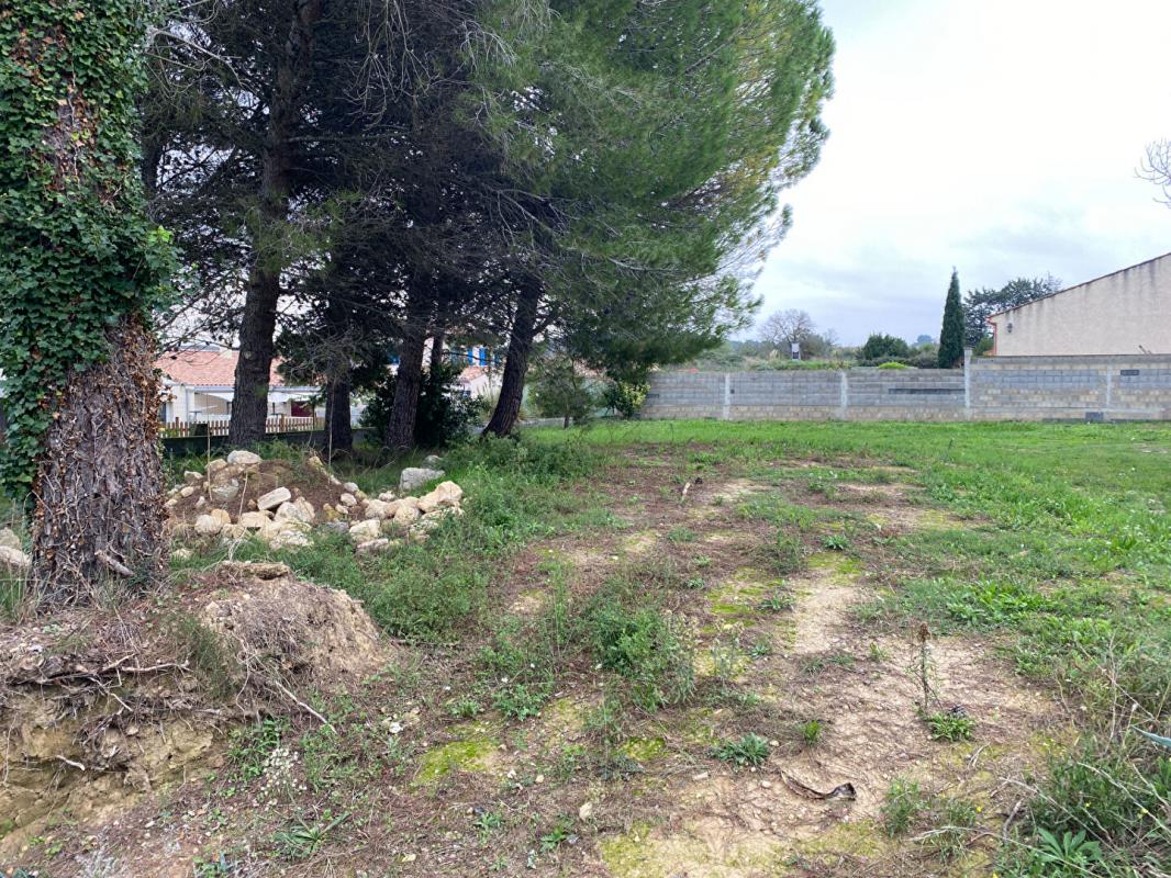 Terrain  - 600m² - ST PONS DE MAUCHIENS