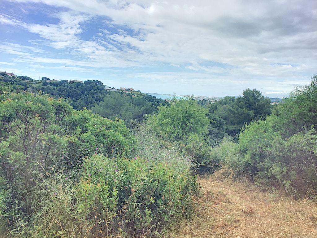 Terrain  - 3 393m² - CAGNES SUR MER