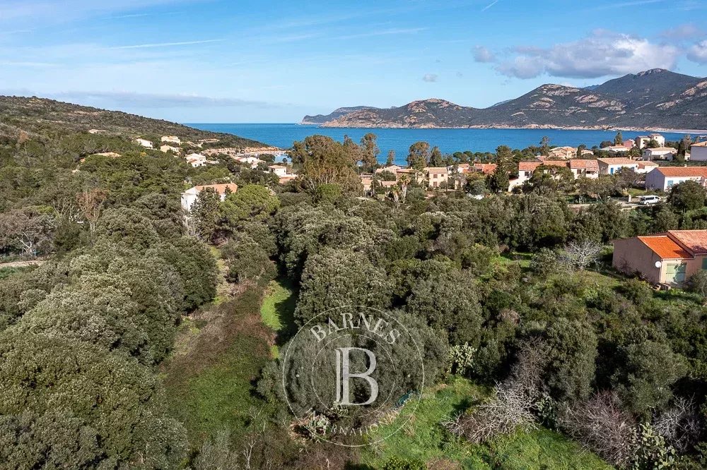 Terrain  - 3 380m² - CALVI