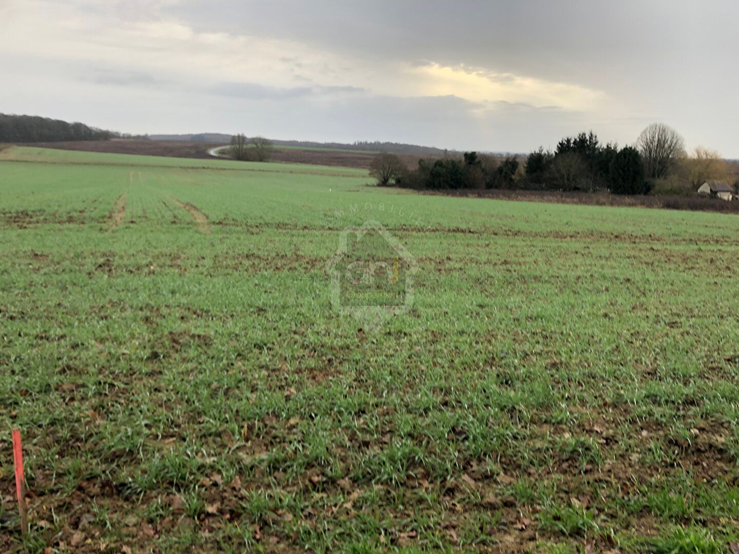 Terrain  - 1 574m²