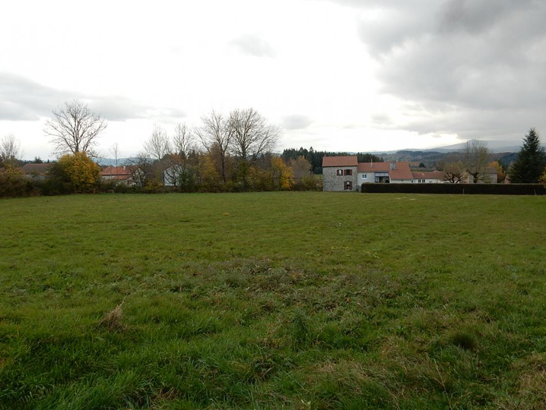 Terrain  - 4 994m² - LAPTE