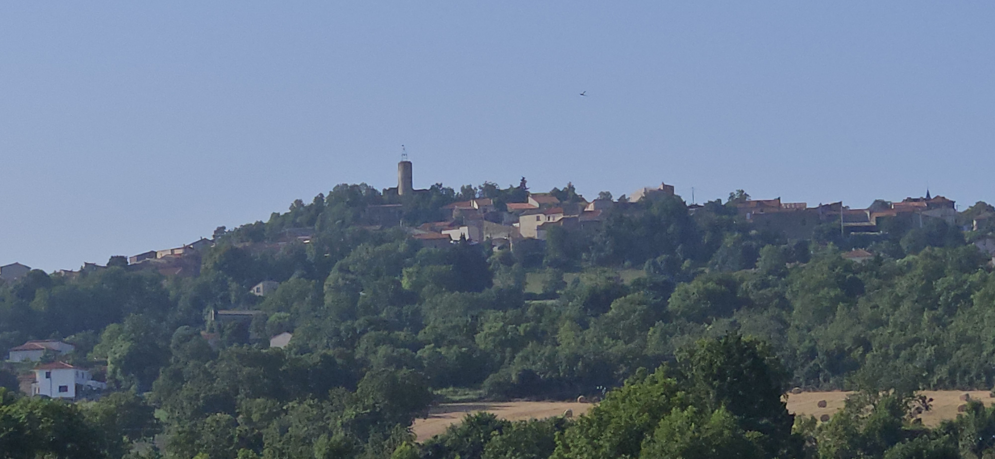 Terrain  - 575m² - LA ROCHE BLANCHE