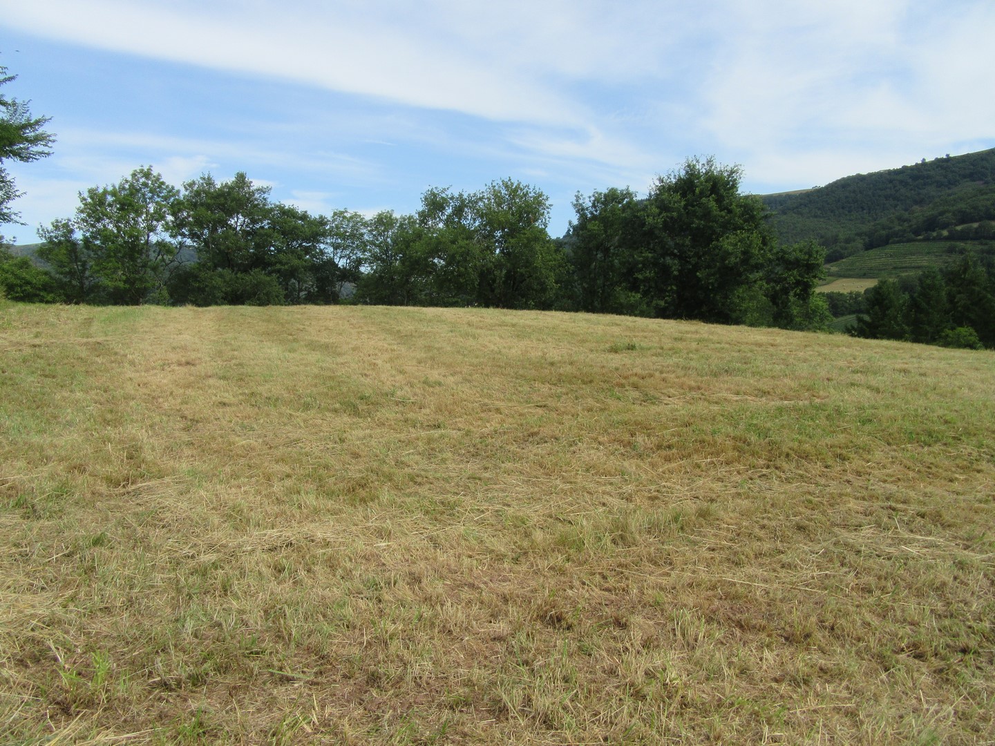 Terrain  - ST CYPRIEN SUR DOURDOU