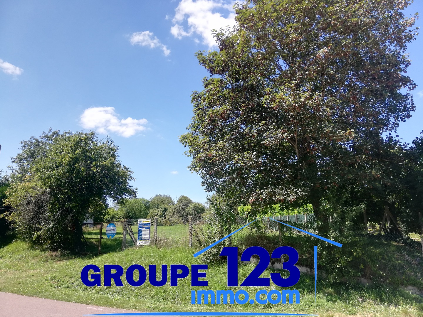 Terrain  - 2 991m² - AILLANT SUR THOLON