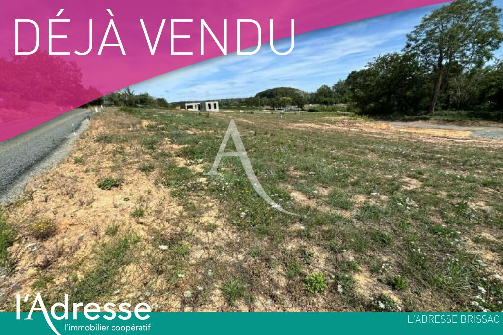 Terrain  - 248m² - BRISSAC QUINCE